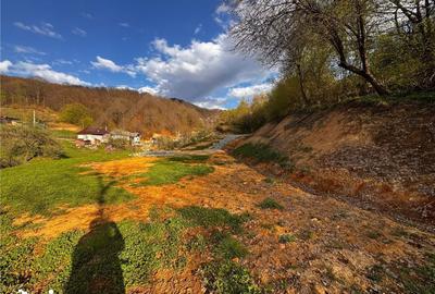 Teren de 5000 mp, în Tăuții-Măgherăuș - 11
