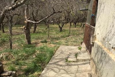 Casă în Ocnița - 1