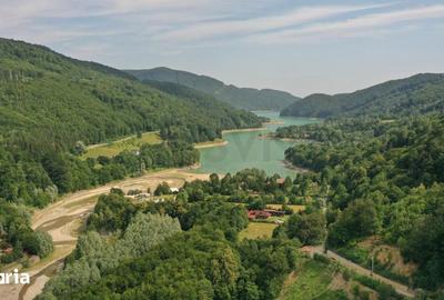 Teren de 3372 mp, în Valea Doftanei - 5