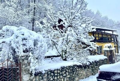 Teren pentru investitii 11.000 mp - 17