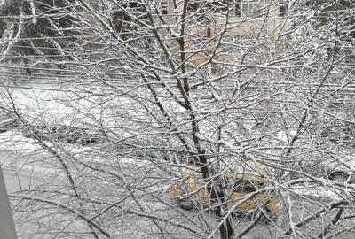 Garsonieră decomandată în Central - 5