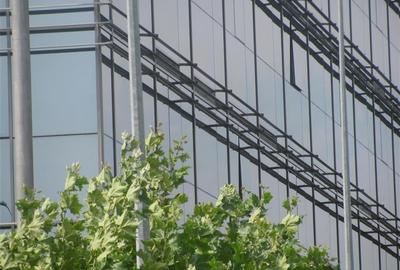 Inchiriere birouri in Victoria Park de la 223 mp - 5