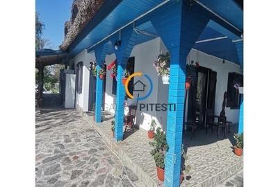 Casa traditionala / Pensiune  P+1, 9 camere, judet Tulcea, localitatea Partizani - 5