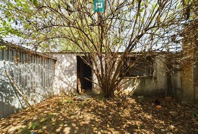 Casa batraneasca in Sustra, Timis - 2