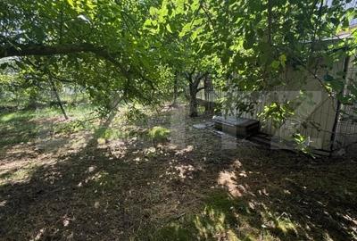 Casa cu etaj, 160 mp utili, 1352 mp teren, zona Burdujeni - 9