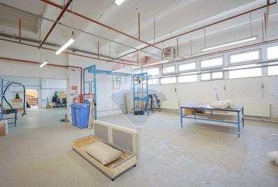 De vanzare spatiu industrial PGS Sofa, calea Borsului - 34
