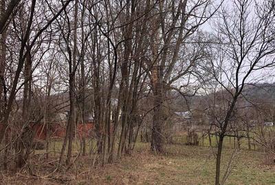 Teren de 6000 mp, în Central - 4