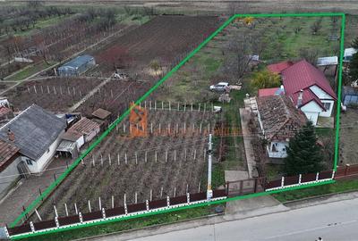 Casa tip parter + beci si teren 4684 mp in Candesti, Vernesti - 24