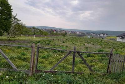 Teren de 5900 mp, în Mitocu Dragomirnei - 2