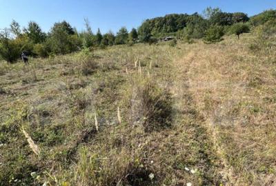 Teren intravilan, 15 arii, pretabil pentru investitii, const - 4