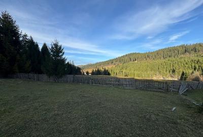 De vanzare 6850 mp pasune langa Manastirea Doroteia - Frasin /Plutonita - 17