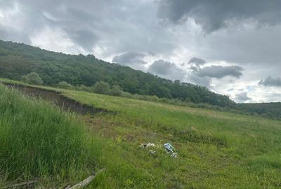 Spațiu comercial, în Herghelia - 3