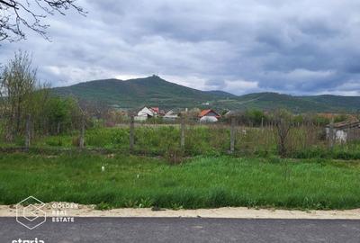 Spațiu comercial, în Șiria - 3