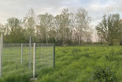Teren de 2750 mp, în Bucovăț - 2