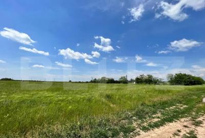 Teren de 4444 mp, în Central - 2