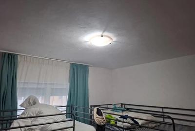 Apartament cu 2 camere semidecomandat în Micălaca - 2
