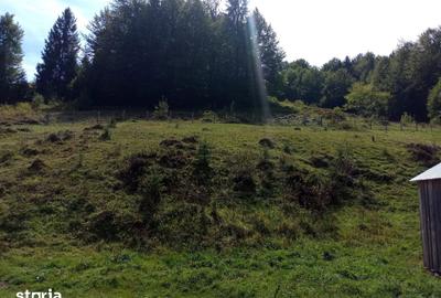 Teren de 56000 mp, în Arieșeni - 3