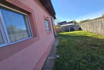 Proprietate formata din 2 Case+Teren, Ciocanai - 4