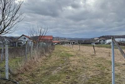 Teren Construcții de 2060 mp, în Luna de Sus - 3