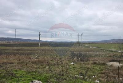 Teren de 41025 mp, în Periferie - 1