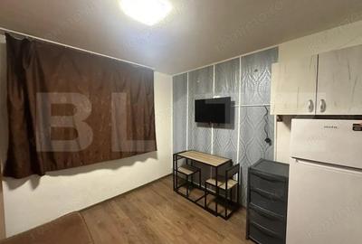 Garsoniera de vanzare, 14.45 mp, zona Careiului - 3