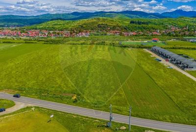 Teren Construcții intravilan de 8600 mp, în Tărlungeni - 9