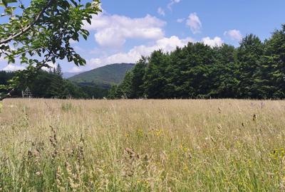 Teren intravilan de 5000, plat, orizontal la poalele muntelui, pe malul Doftanei - 5