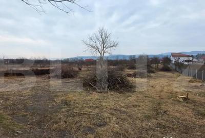 Casă cu 4 camere cu Teren 4000 Mp în Central