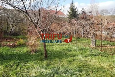 Casă cu 3 camere cu Teren 755 Mp în Central - 2