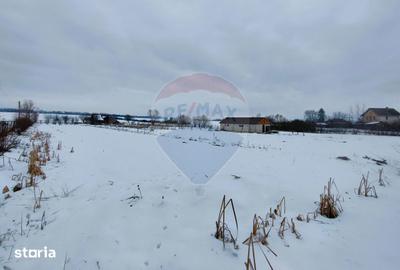 Teren de 9574 mp, în Iacobeni - 5