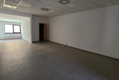 Spațiu comercial, de 663 mp, în Mehala - 5