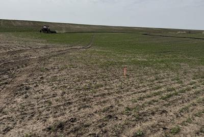 Teren de 660000 mp, în Vasilați - 3