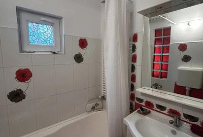 Casa 2 Camere Boul Rosu De Inchiriat - 4