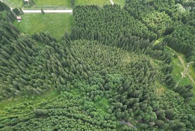 Teren extravilan 5000 MP Comandau - 8