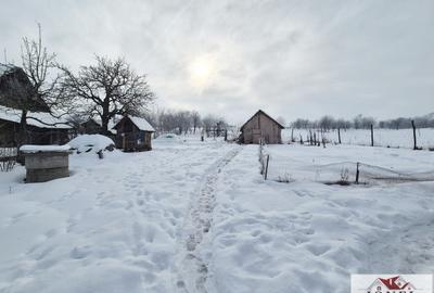 Casă individuală cu 1 camere cu Teren 3909 Mp în Șilea - 7