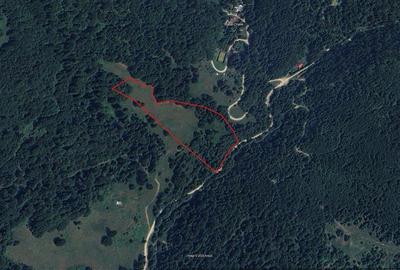 Teren Construcții extravilan de 20000 mp, în Siriu - 2