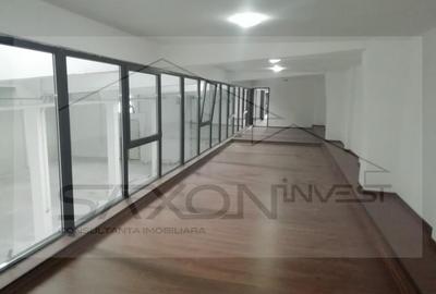 Berceni Sos Giurgiului 721mp - 8