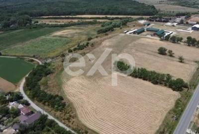 Teren Construcții intravilan de 105000 mp, în Crânguri - 5