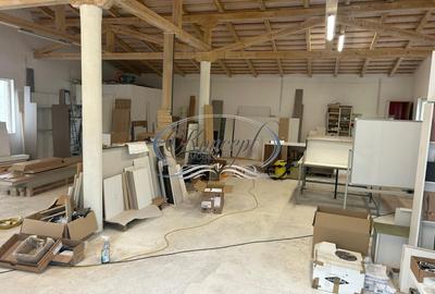 Hala productie sau depozitare - 3