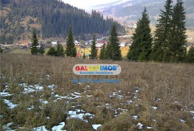 Teren pentru Complex Turistic - 12 730 mp - Vatra Dornei - 7