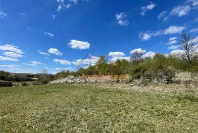 Teren de 103000 mp, în Bălnaca - 6