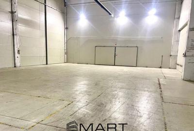 Cladire birouri si hala 8600mp zona industriala est - 6