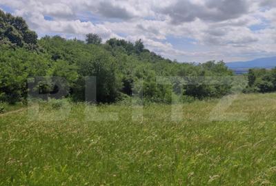 Teren de 28500 mp, în Gușterița