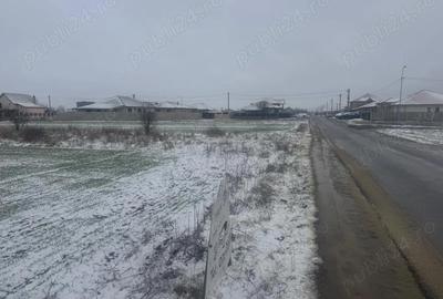 Teren de 5000 mp, în Șag - 1