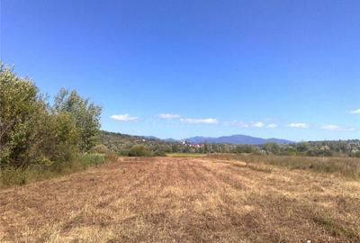 Sacalaseni la strada principala Teren intravilan 55 Ari