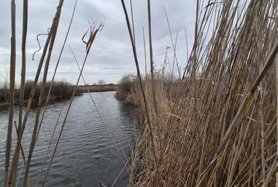 Teren 2500 mp – Izvorani | Deschidere directa la lac - 1