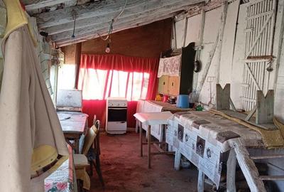 Casă cu 4 camere cu Teren 7000 Mp în Verbița - 6
