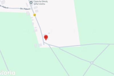 Casă cu 3 camere cu Teren 3487 Mp în Tănăsoaia - 6