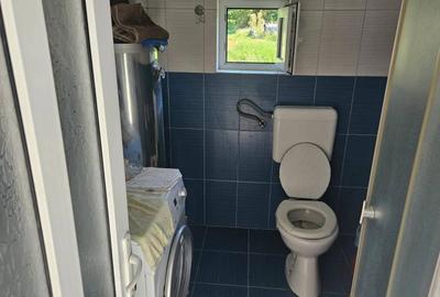 Casă cu 2 camere în Făurei - 7