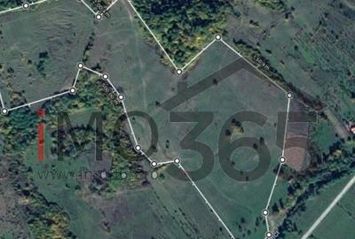 Teren 15 Hectare in sat | Mihaesti | Arges - 1